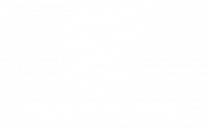 Reccord To Web